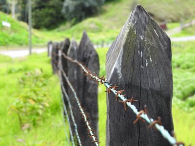 Fence post barbed wire fence wire photo