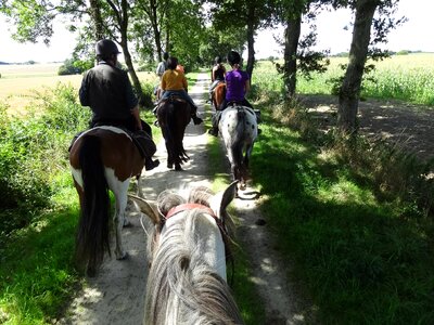 Migratory ride equestrian group summer