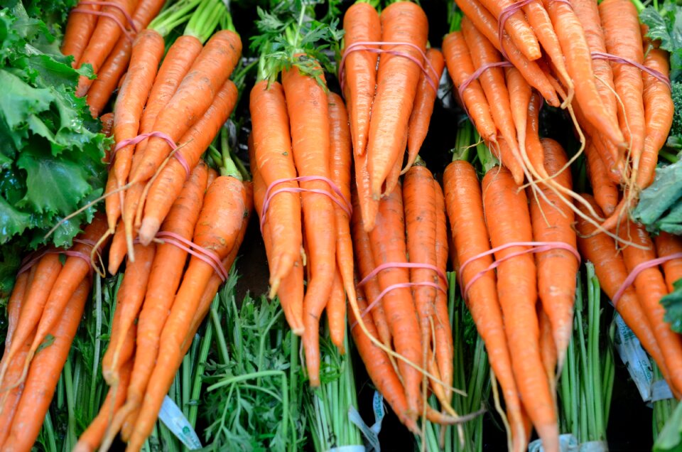 Vegetable orange vegetables
