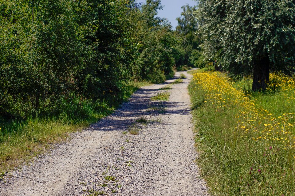 Shoulder dirt road sunny day