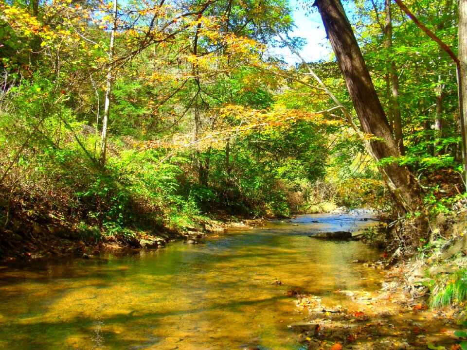 Water nature landscape