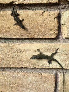 Brick wall outside