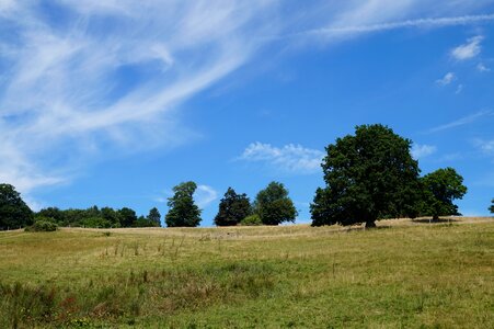 Sky nature grass photo