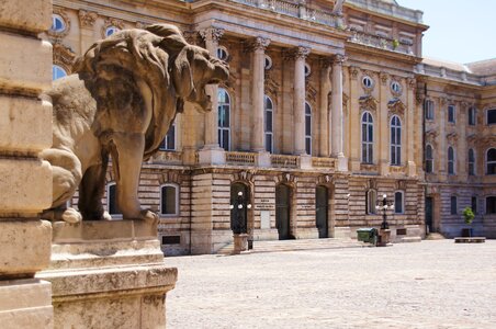 Sculpture lion input