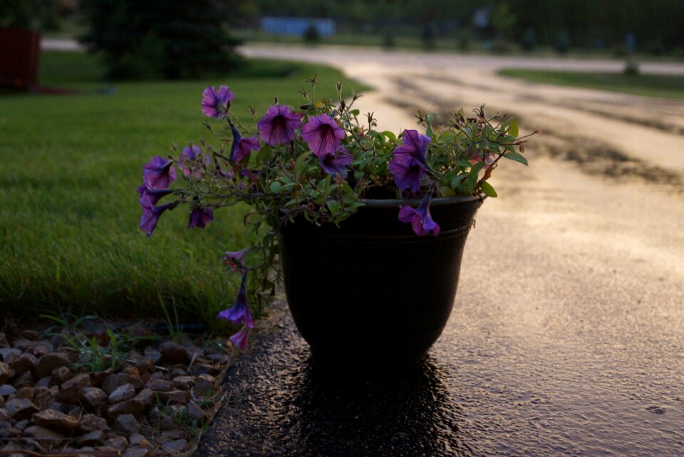 Evening home driveway