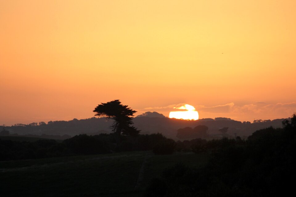 Calm orange calm