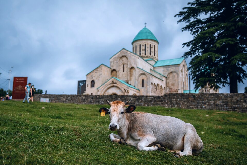 Georgia holy trinity church cow the scenery