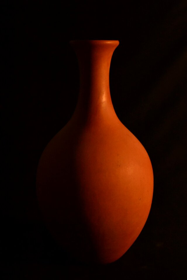 Claw vase light