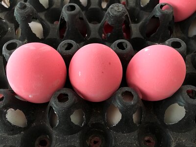 Pink eggs food eat