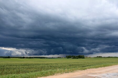 Nature summer horizon photo