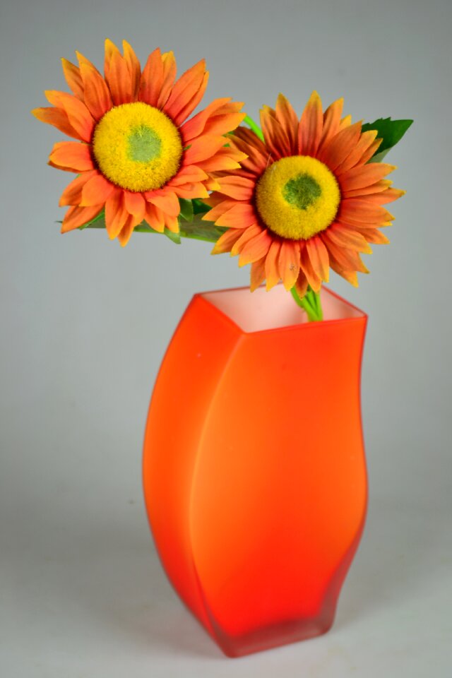 Vase nature morte still life
