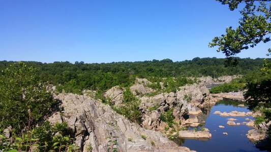 Maryland trees landscape