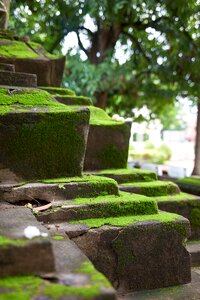 Ruins steps photo