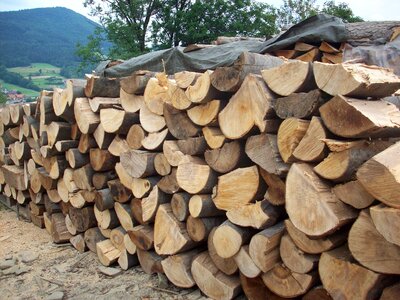 Wood logs sawmill