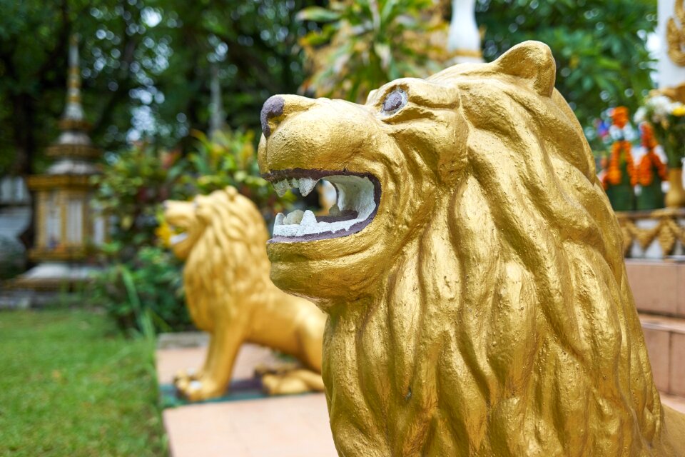 Buddhist lion deity