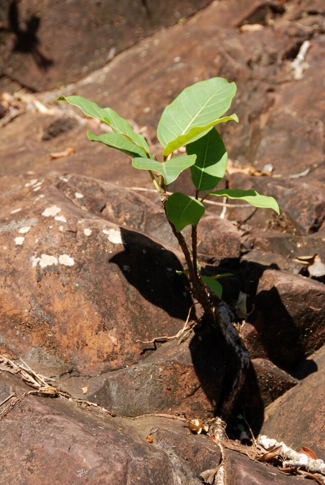 Environment life loneliness