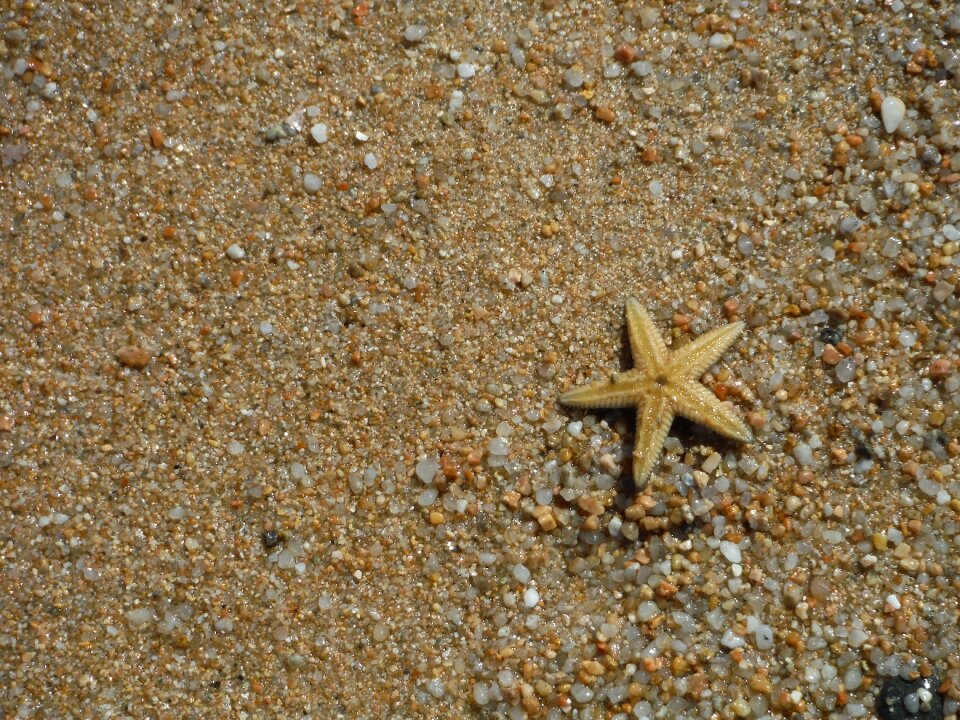 Beach sardinia holidays