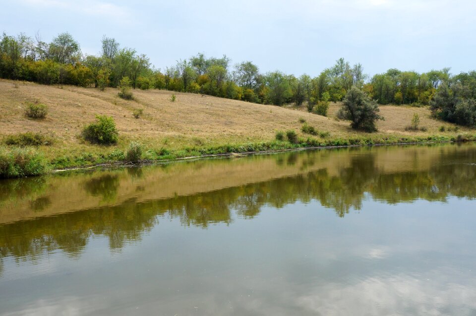 Summer nature ukraine