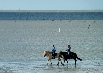 Ebb flood tides