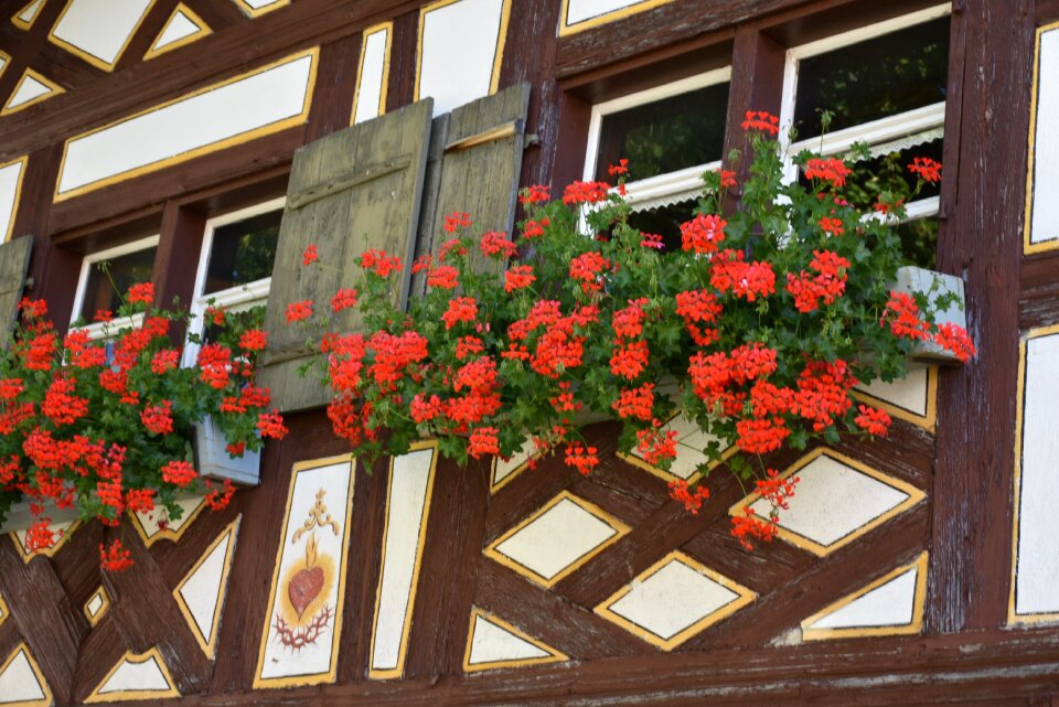 Wood places of interest culture
