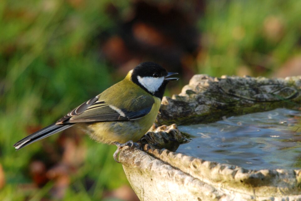 Drinking water cistern