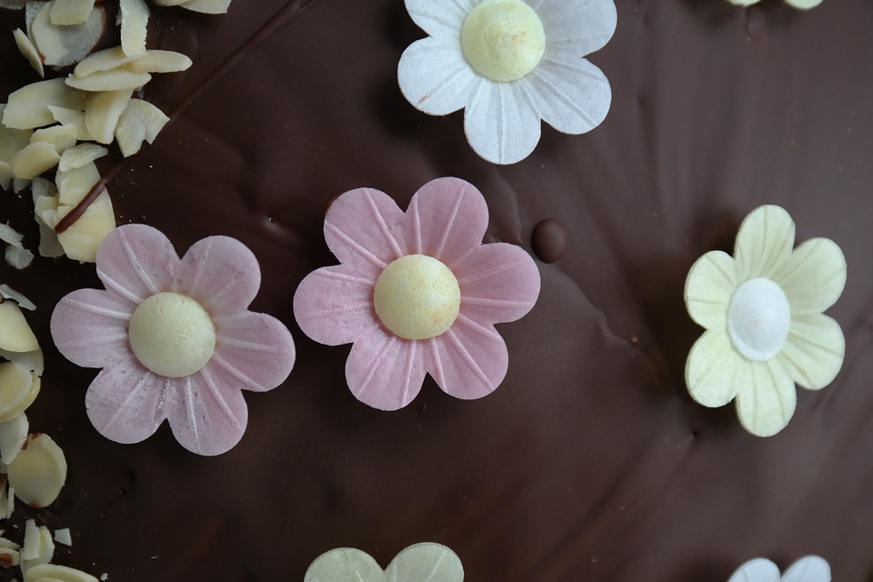 Chocolate cake cake chocolate
