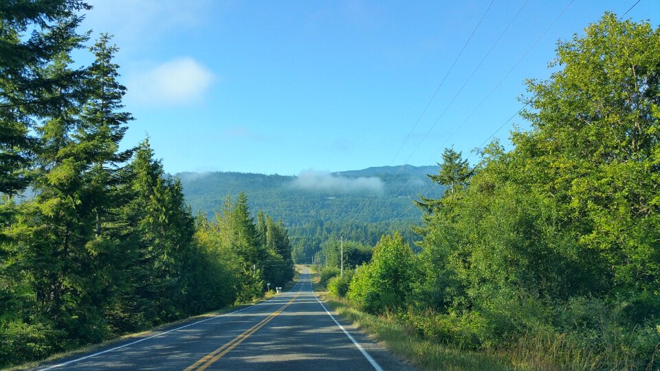 Sequim nature photo