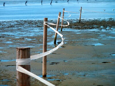 Flood watt hike wadden sea photo