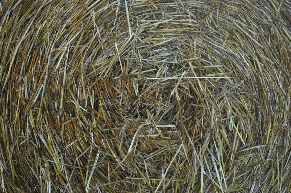 Agriculture round bales straw bales