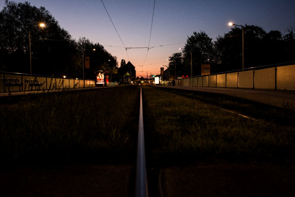 Tracks evening grass