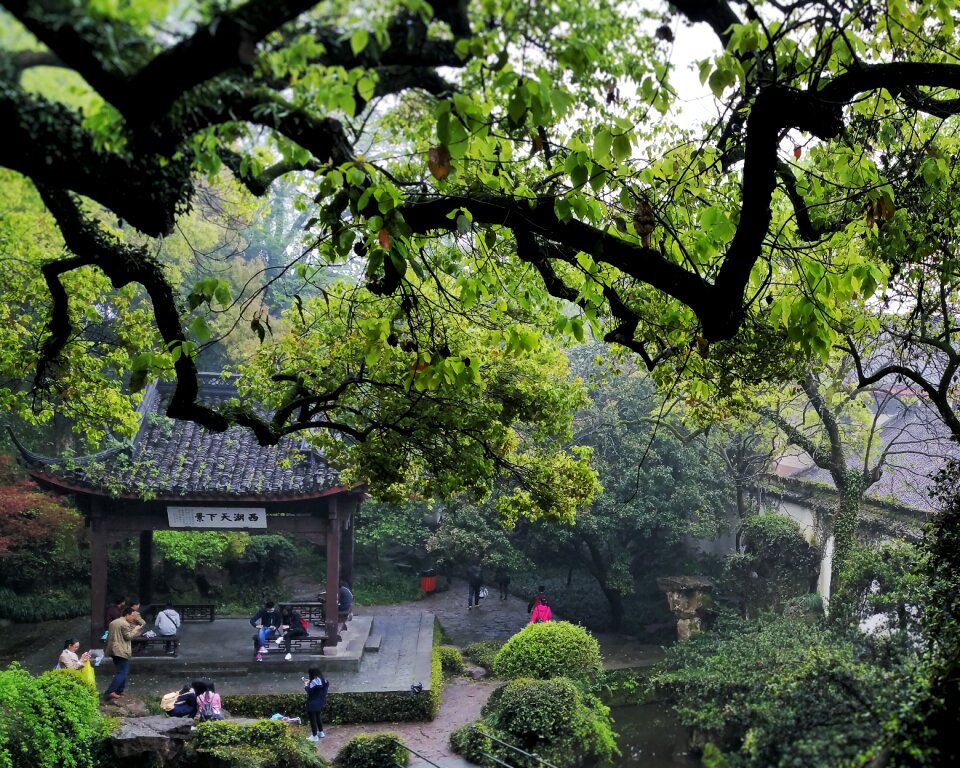 Ching ming park garden