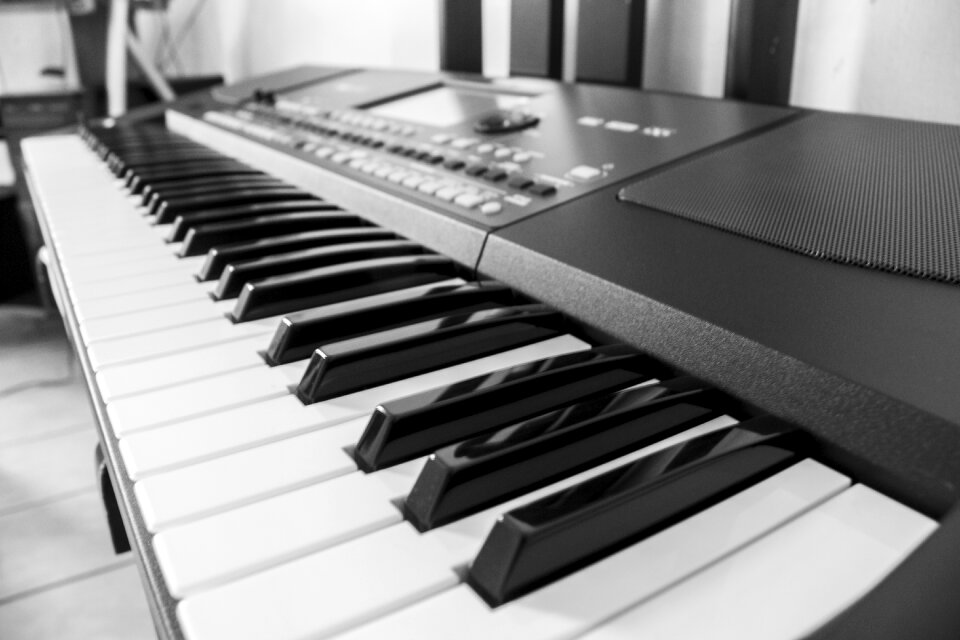 Music black and white instrument
