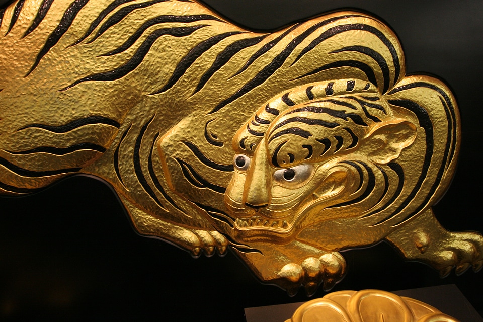 Gold tiger culture