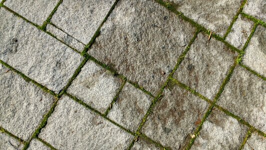 Soil stone paving stones