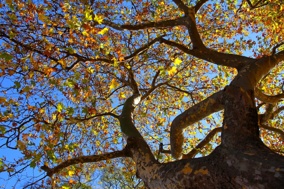 City autumn beautiful
