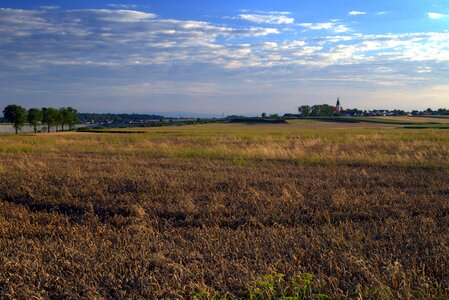 Cereals landscape agriculture photo