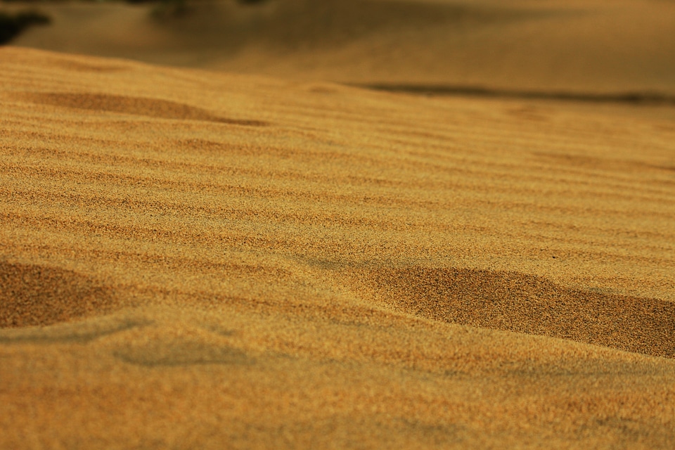 Outdoor dune natural