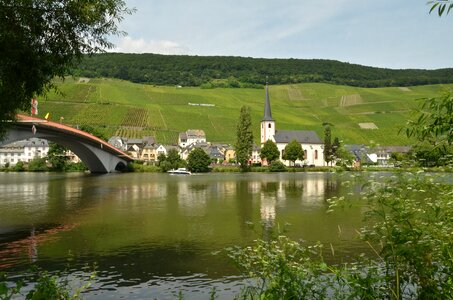 Wine piesport germany