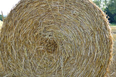 Hay bales arable cereals