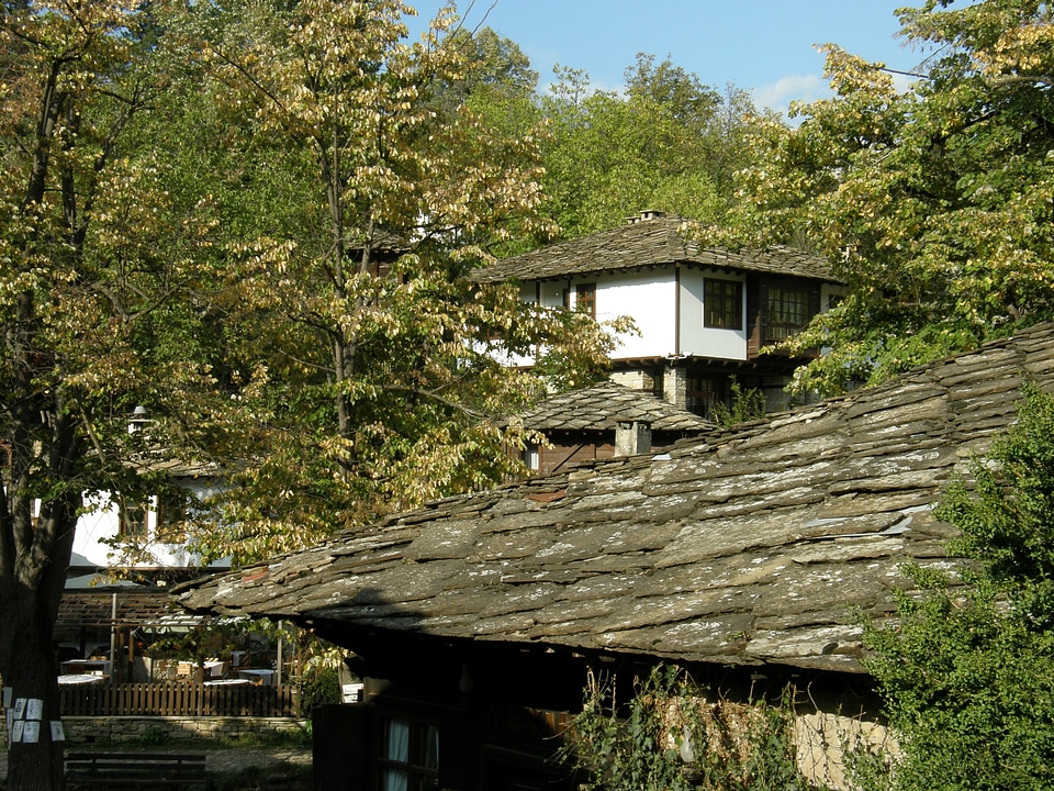 Residences autumn colorful