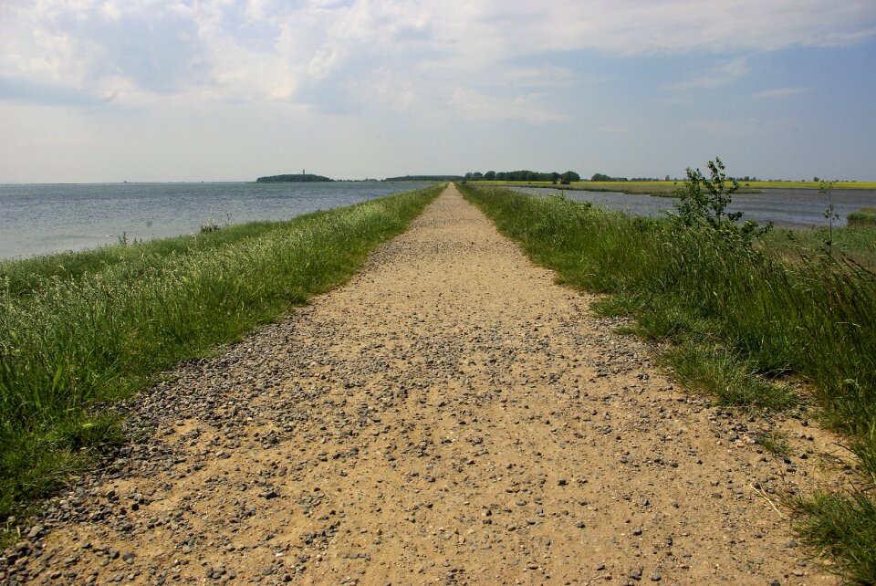 Sea dunes landscape