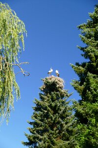 Bird park walsrode park
