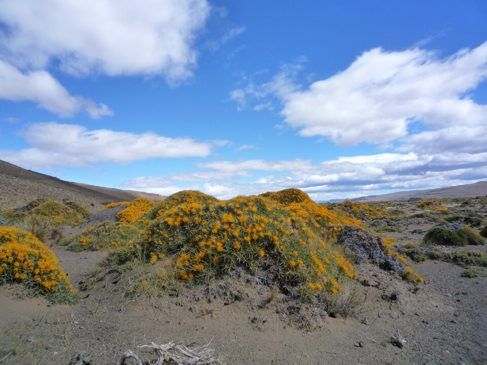 Landscape spectacular