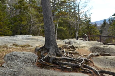 Rock bald landscape