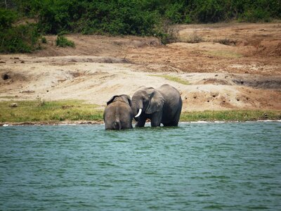 Uganda refreshment afternoon