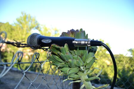 Artichoke nature technology