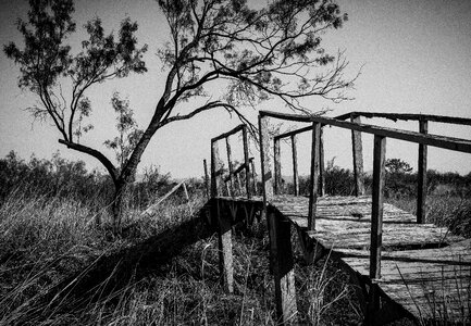 Wooden structure crossing