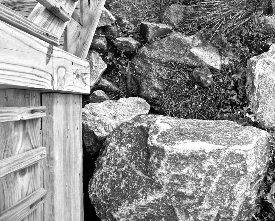 Natural fence wood