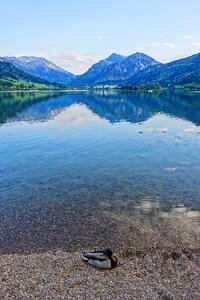 Landscape scenery tranquil