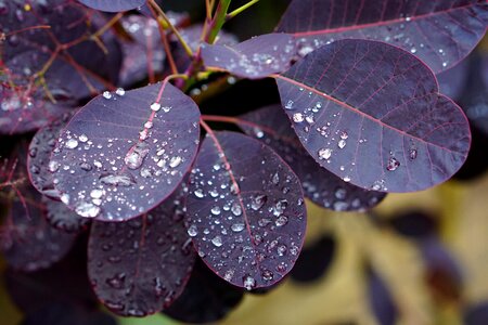 Nature water wet